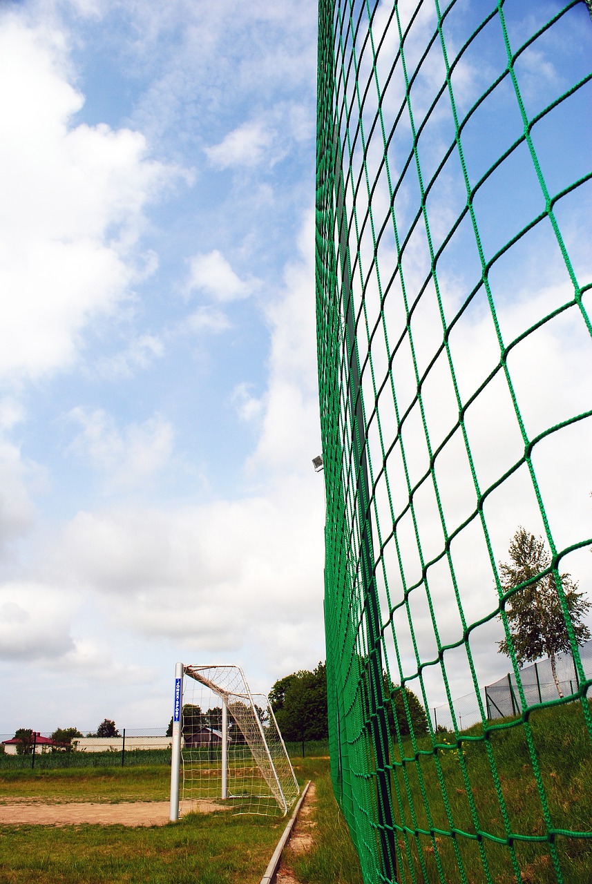 本届赛事已 本届赛事已