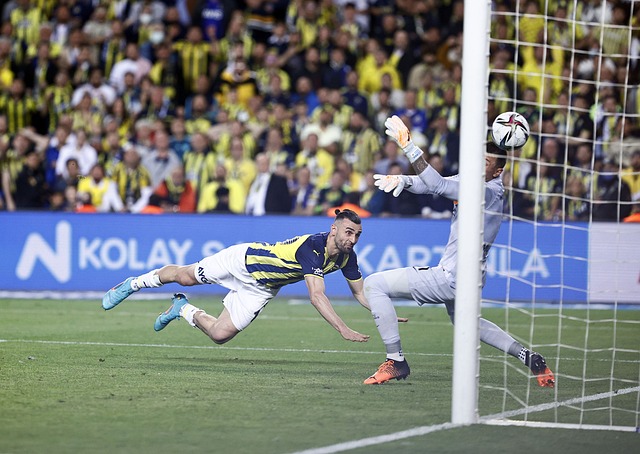 不少球迷已 不少球迷已