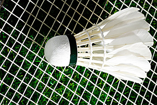 精神力量 精神力量