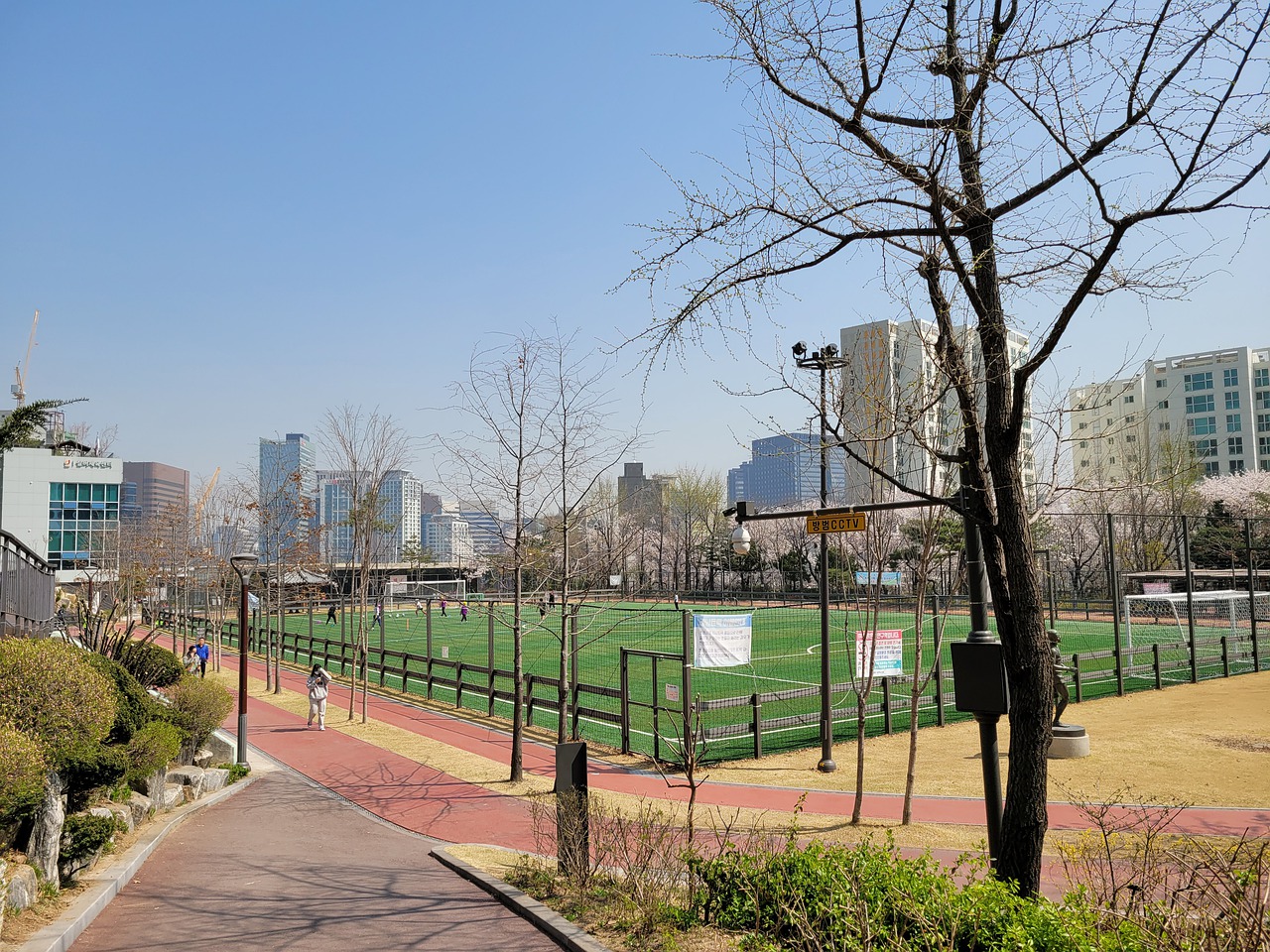 马提出了高 马提出了高