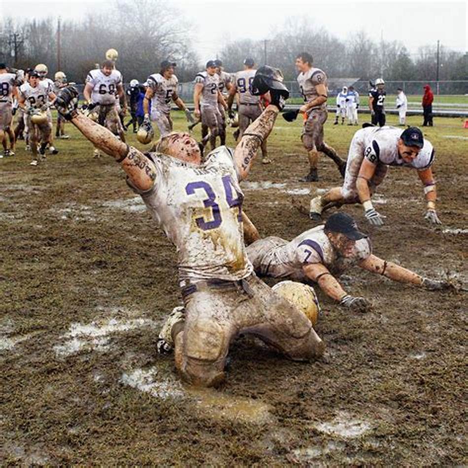 这些新球员 这些新球员