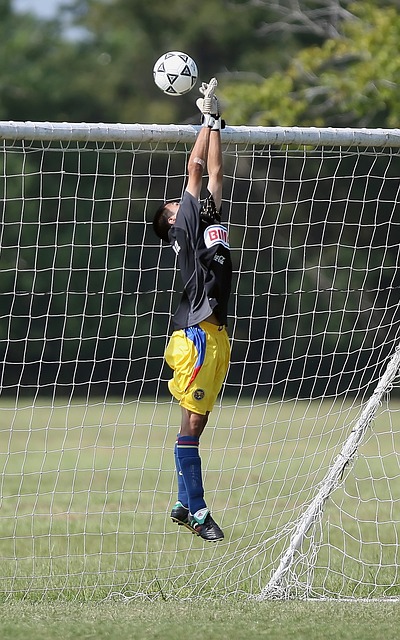 保药品目录 保药品目录